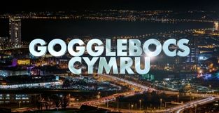 Gogglebocs Cymru
