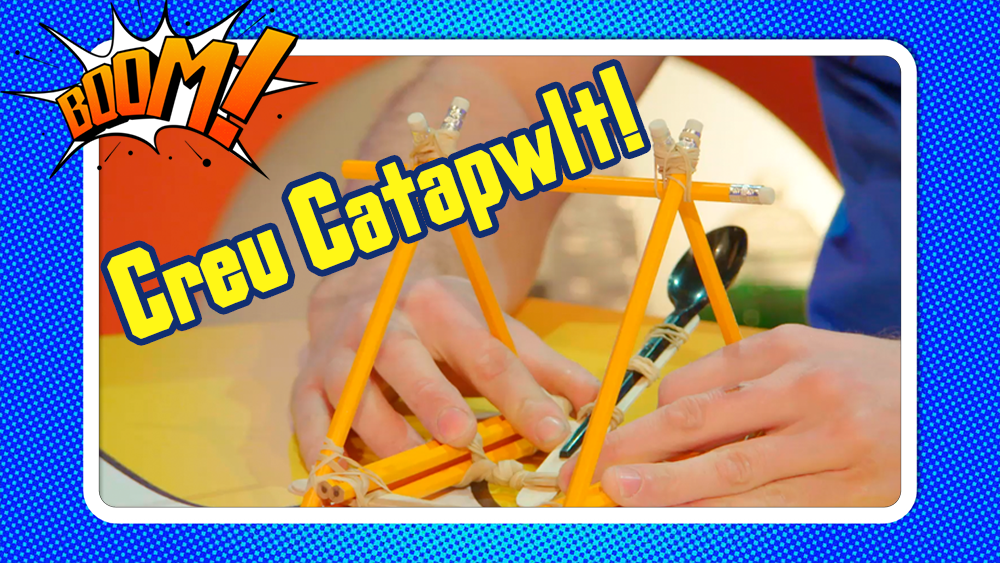 Make your own catapult