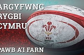 Pawb a'i Farn