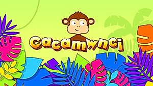 Cacamwnci