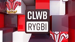 Clwb Rygbi