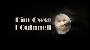 Dim Cwsg i Quinnell
