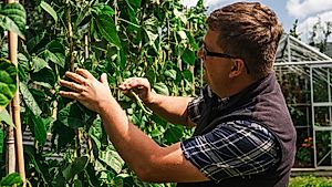 Garddio a Mwy - Cyfres 2025