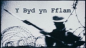 O FLAEN DY LYGAID