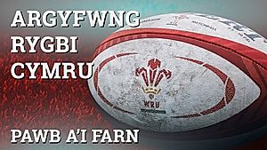 Pawb a'i Farn