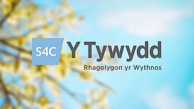 Y Tywydd