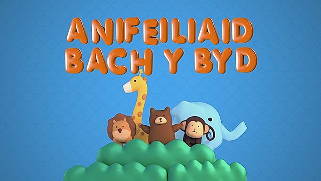 Anifeiliaid Bach y Byd