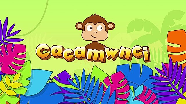 Cacamwnci