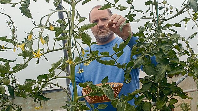 Cegin Clwyd Bryn Williams