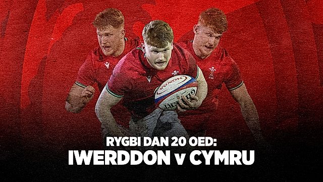 Dan 20: Iwerddon v Cymru