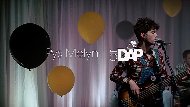 Lwp ar Dâp - Pys Melyn