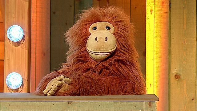 Gareth yr Orangutan
