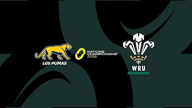 Yr Ariannin v Cymru