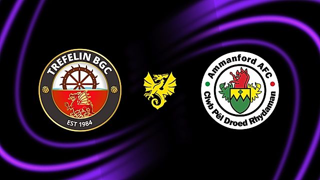 Trefelin v Rhydaman
