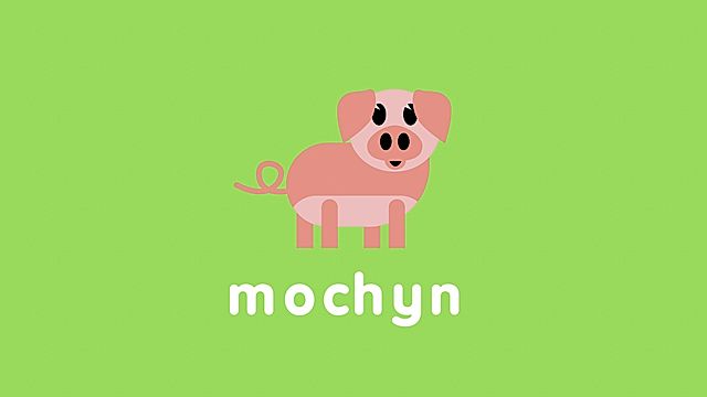 Mochyn