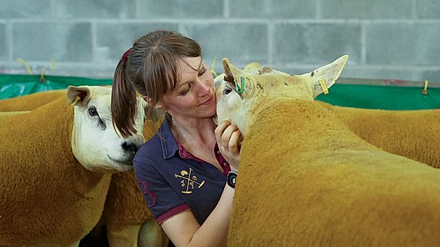 Teulu Shadog: Tymhorau'r Flwyddyn