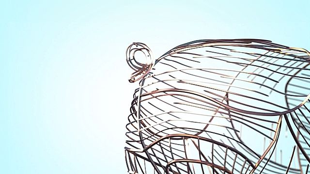 Uchafbwyntiau'r Ffair Aeaf