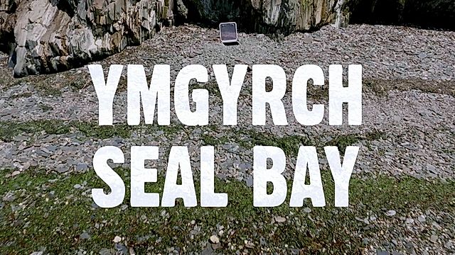 Ymgyrch Seal Bay