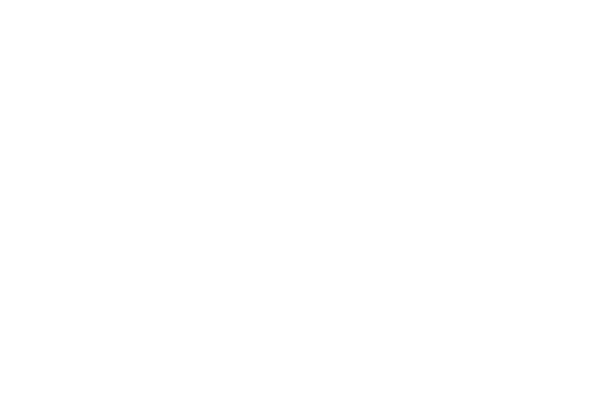 bariau logo