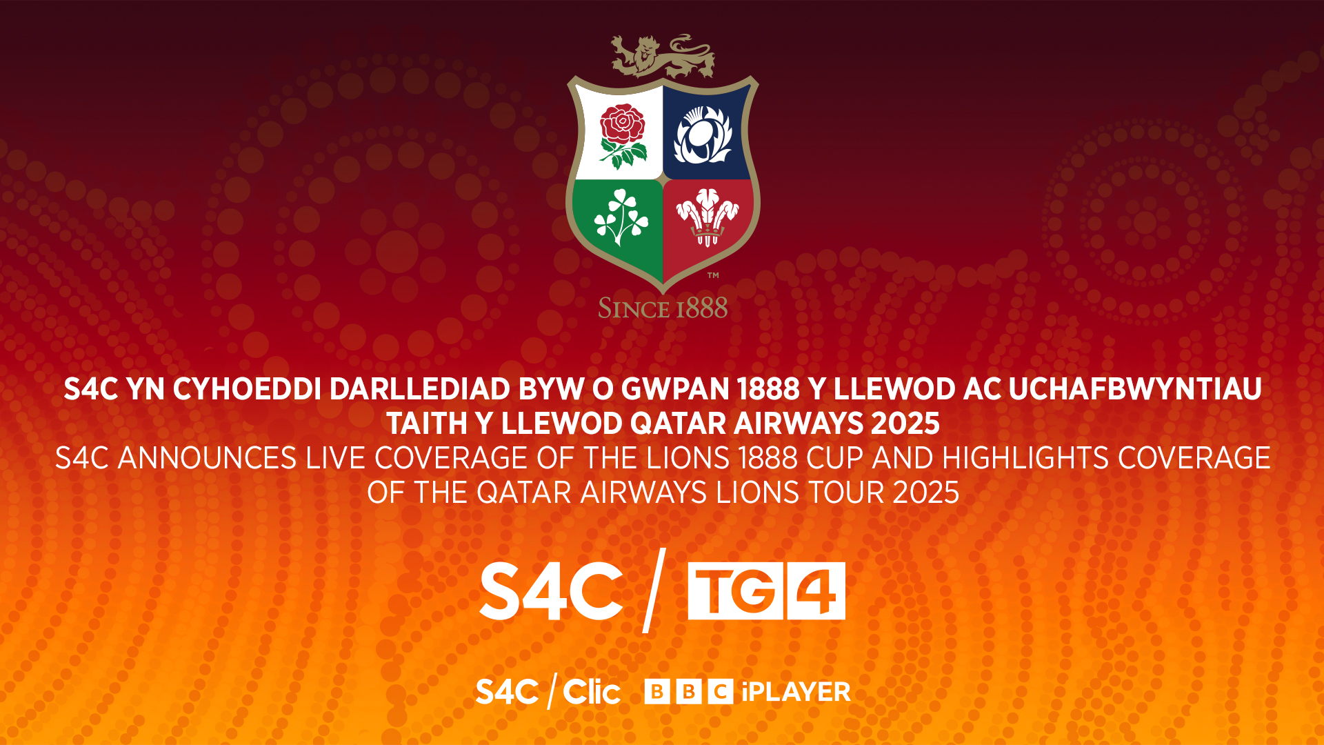 S4C yn cyhoeddi darllediadau o Daith Llewod Prydain ac Iwerddon