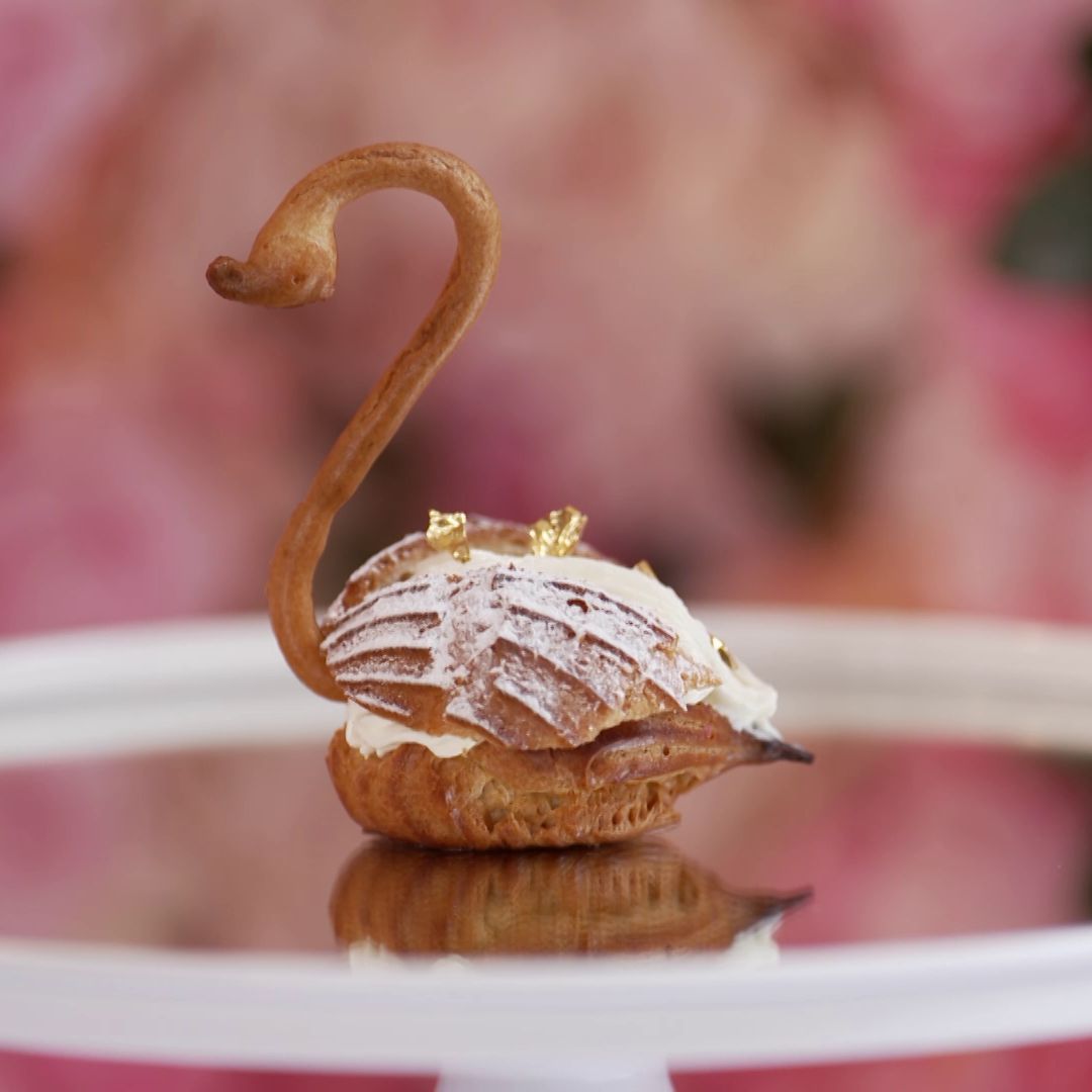 Choux Swan