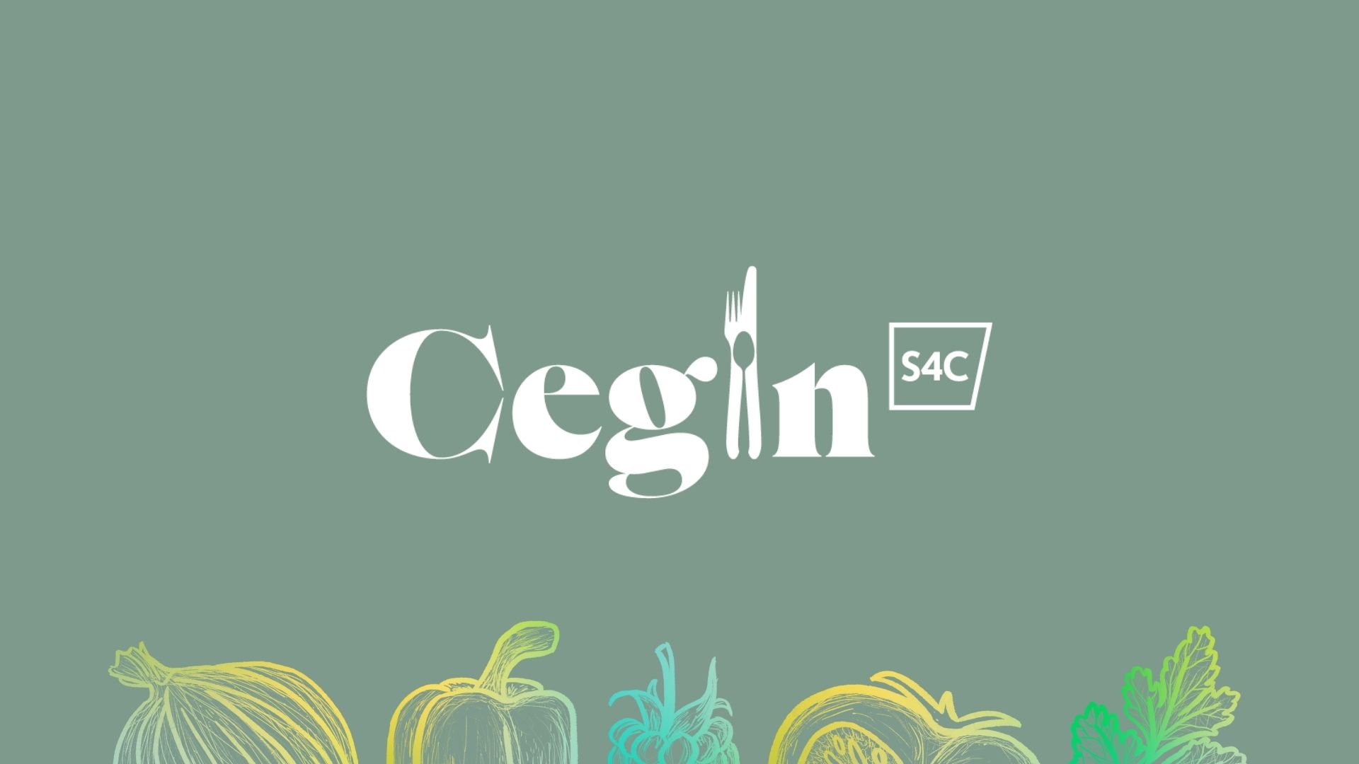 Cegin S4C