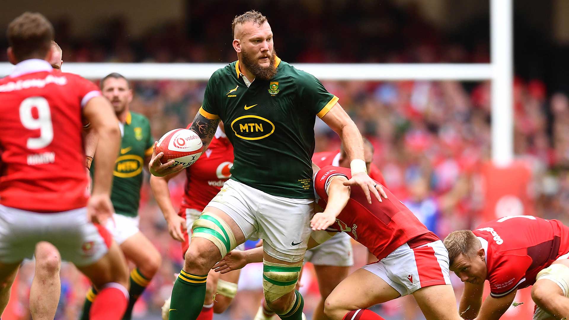 Gemau'r Haf: Cymru v De Affrica