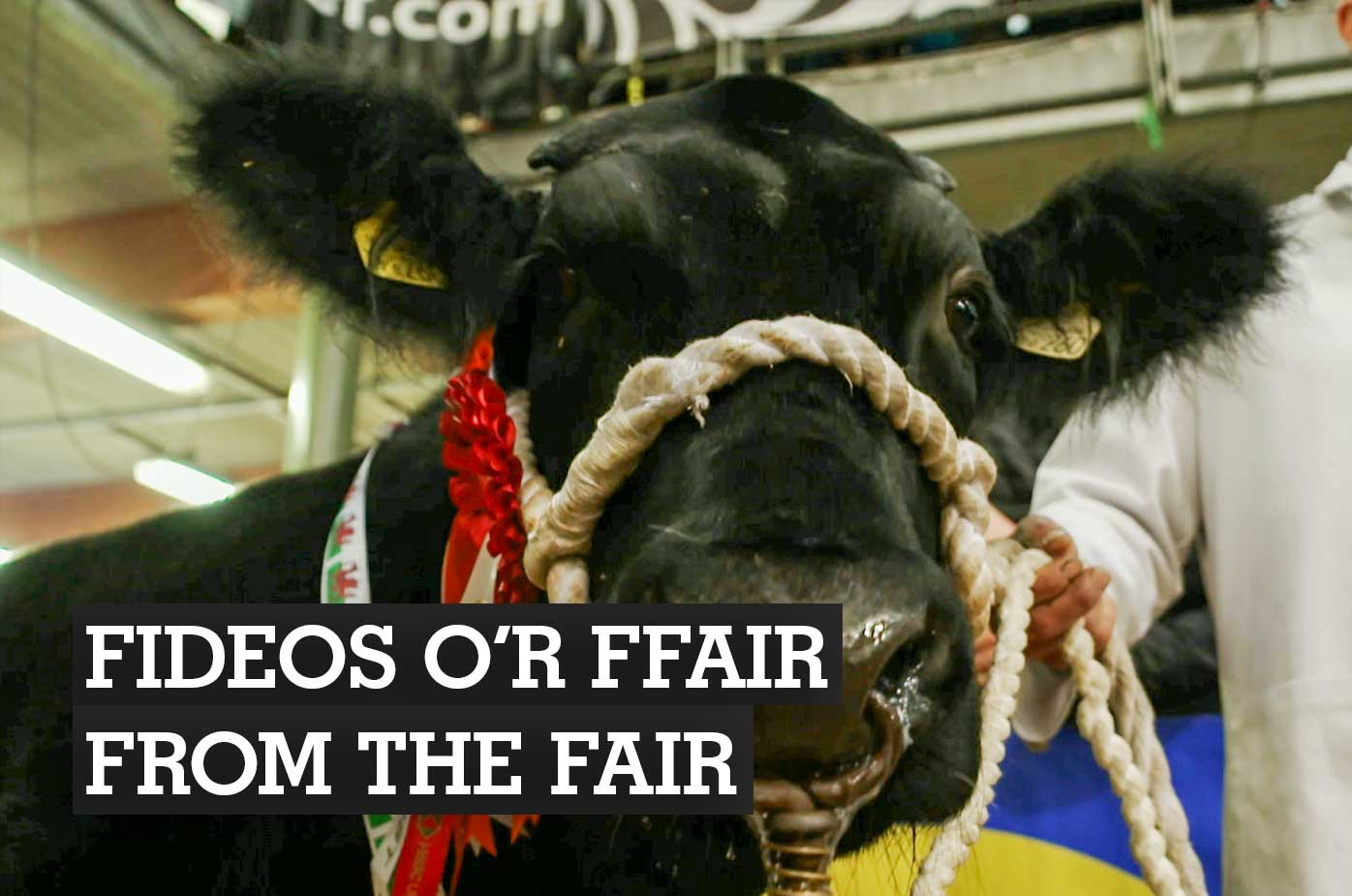 Watch the best from the 2024 Winter Fair
