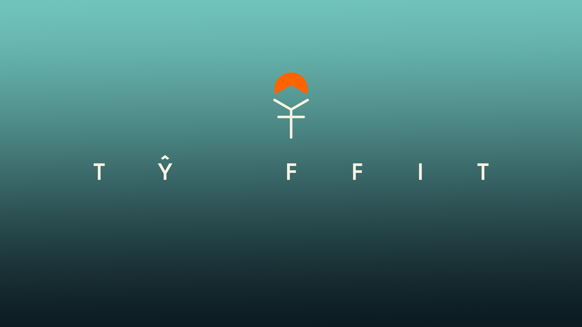 Tŷ Ffit