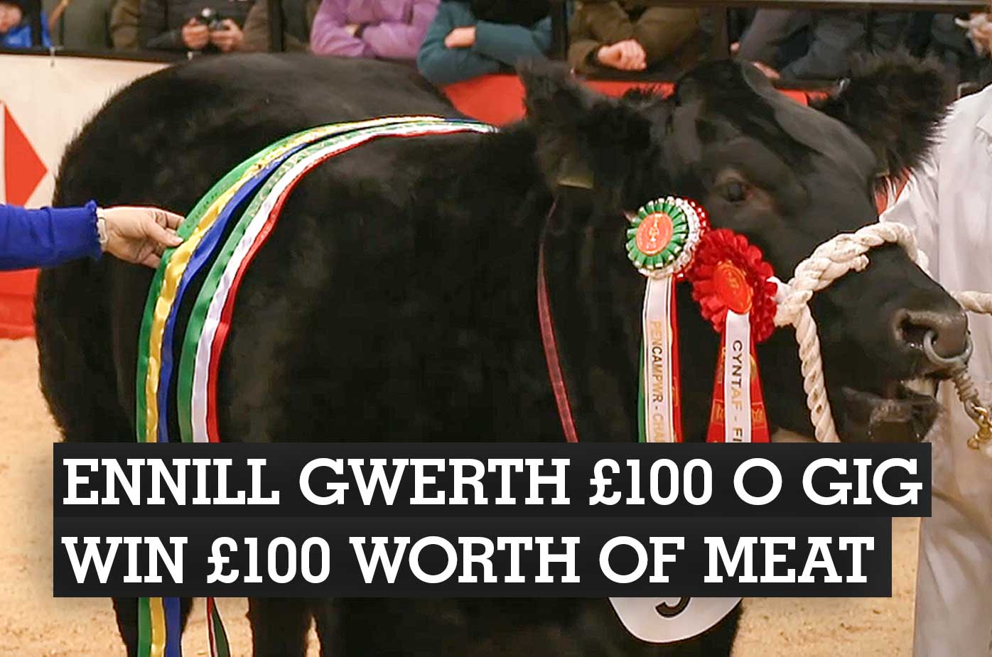 2024 Winter Fair Competition