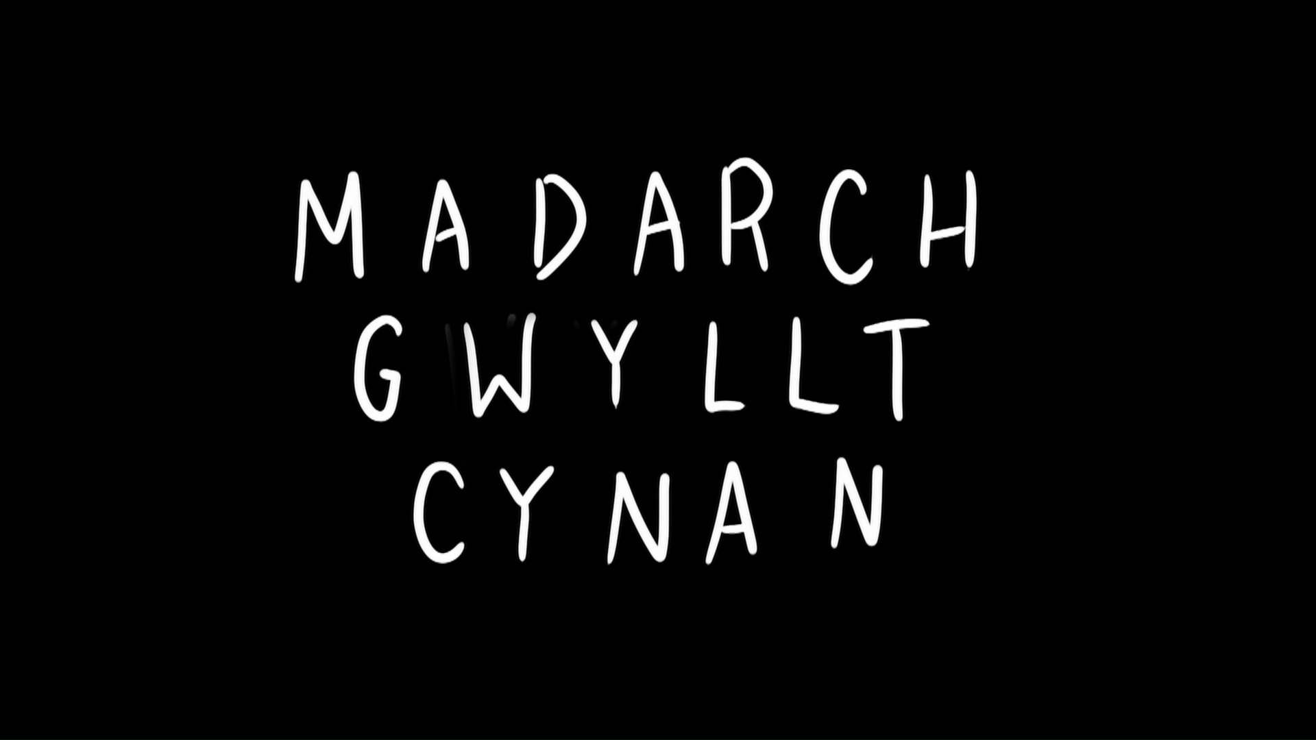 Madarch Gwyllt Cynan